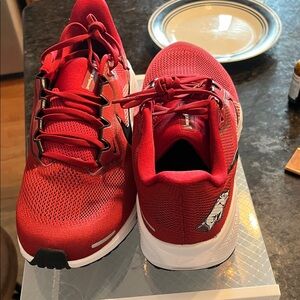 Deadstock Arkansas PE Nike Pegasus 🔥🔥🔥